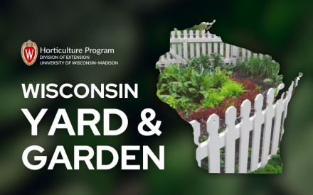 Do the Math in Yards & Gardens