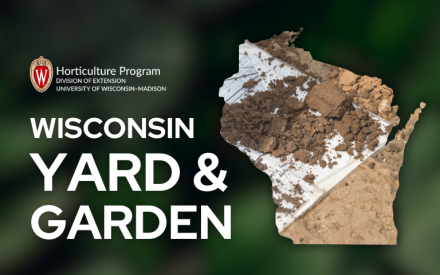 Soil Testing for Successful Gardens
