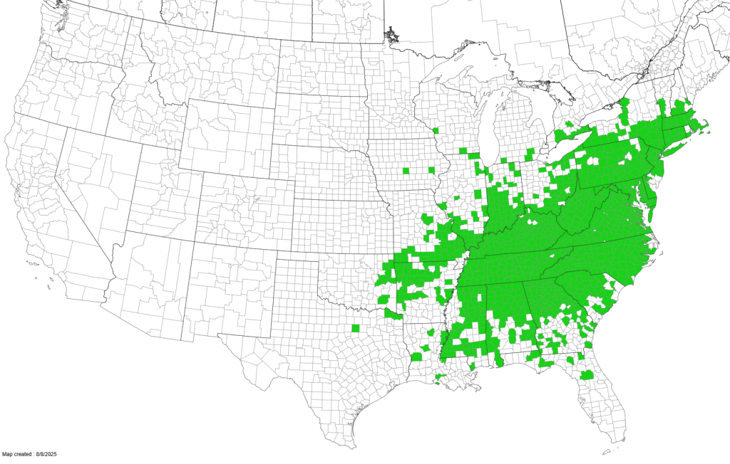 Green counties are where stiltgrass has been found in North America as of August 8, 2025.