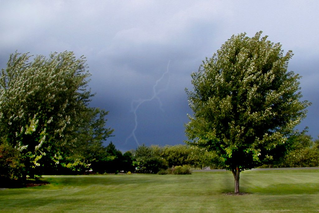 Gardening for Weather Extremes in Wisconsin: Extreme Precipitation