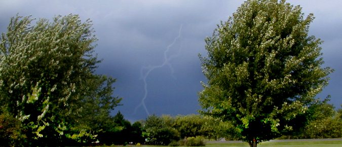 Gardening for Weather Extremes in Wisconsin: Extreme Precipitation