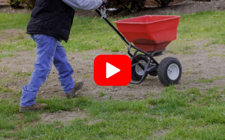A YouTube play button superimposed over an image of a person spreading lawn fertilizer pellets with a walk-behind spreader