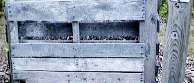 Wood Pallet Composter: Do-It-Yourself Compost Bin Instructions