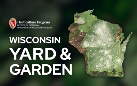Disease Management for 2026 Starts Now