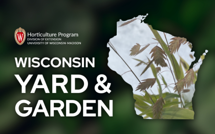 Preparing Landscape Plants for Winter