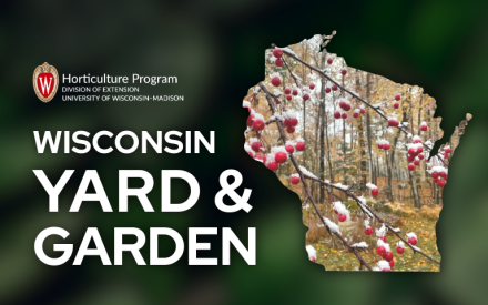 November Gardening Agenda