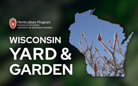 Plant Dormancy a Dependable Process