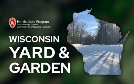 Reducing Deicing Salt Damage This Winter