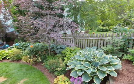 Hiring a Landscape Professional: A Homeowner’s Guide for Wisconsin