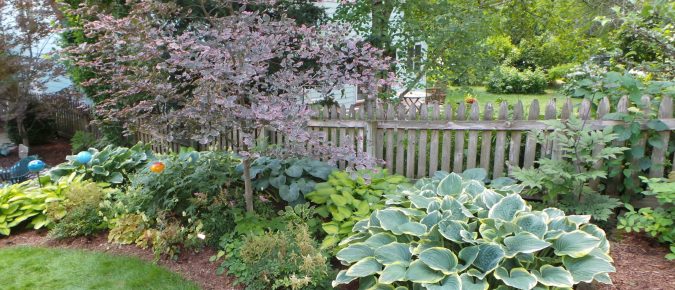 Hiring a Landscape Professional: A Homeowner’s Guide for Wisconsin