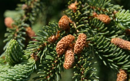 December 2025 Newsletter