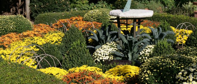 Finishing Your Landscape Design