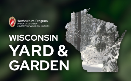 Pros and Cons of Snow for Plants