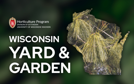 Keying Out Christmas Trees