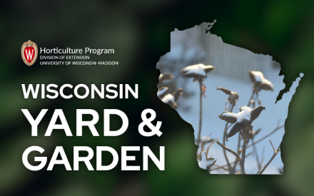 Gardening Resolutions to Consider for 2026