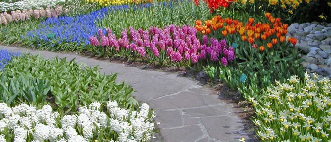 Landscape Design Principles