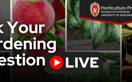 Ask Your Gardening Question: LIVE with UW-Madison plant health experts
