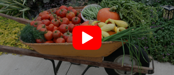 ▶︎ Watch: Planning for a Seed-Saving Garden