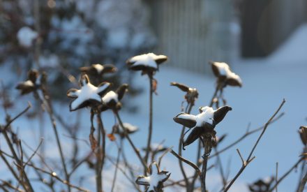 January 2026 Newsletter