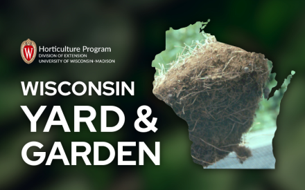 Misunderstandings & Management of Thatch