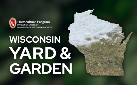 February Thaw Impact on Plants