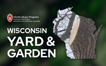 Dormant Tree Pruning Guidelines