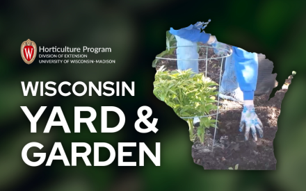 Comparing & Contrasting Nitrogen Fertilizers