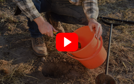 ▶︎ Watch: Soil Testing: Why, When, and How