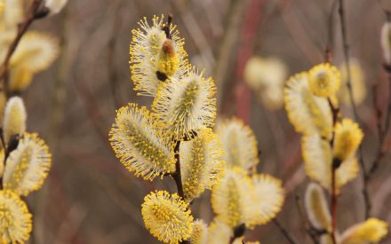 March 2026 Newsletter