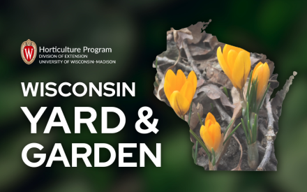 Gardening Calendar Limited for March