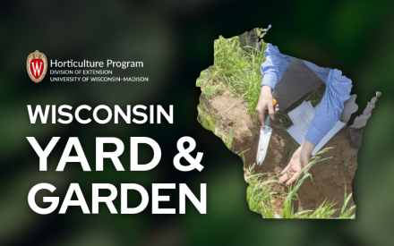 Understanding Soil P & K