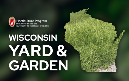 Mowing Can Make or Break Lawns