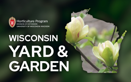 Key Characteristics When Choosing Plants