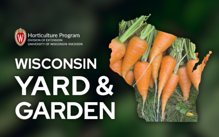 Essentials to Vegetable Gardening Success