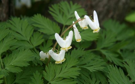 April 2026 Newsletter