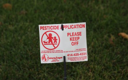 Hiring a Lawn Care Service: Making an Informed Decision