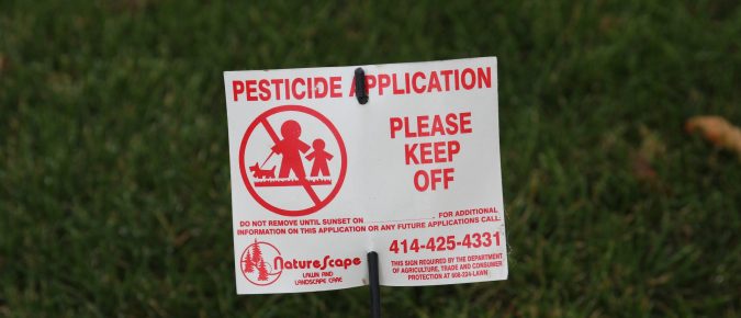 Hiring a Lawn Care Service: Making an Informed Decision