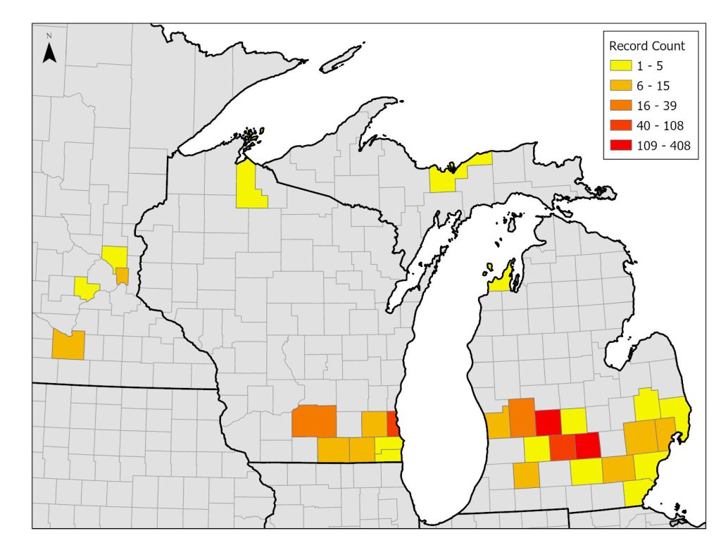 “Map of the Great Lakes region showing county record counts shaded from yellow to red, with a legend indicating increasing totals of Lesser Celandine populations.
