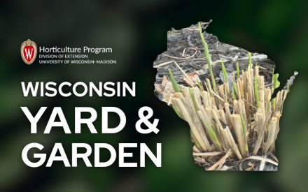 April Gardening Calendar Getting Active