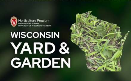 Crabgrass Management Plan Components