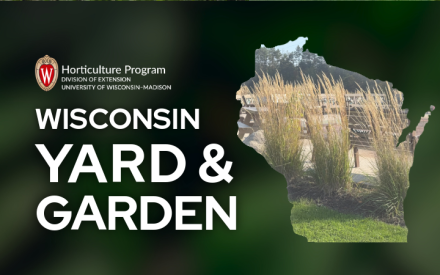 Ornamental Grasses Enhance Landscapes