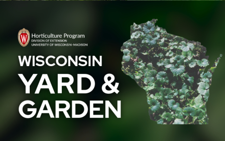 Options for Managing Yard & Garden Weeds   