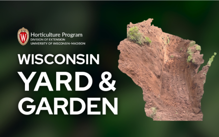 Quiz Yourself on Yard & Garden Soils