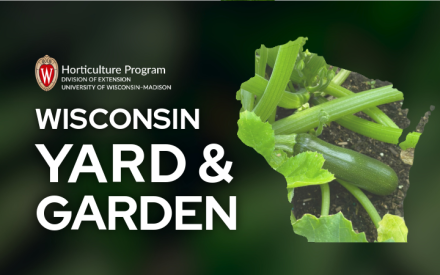 Tips for Topnotch Harvests