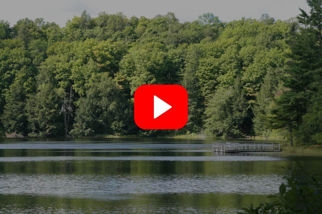 ▶︎ Watch: Lake-Friendly Lawn Care