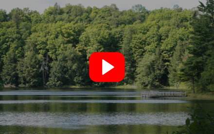 ▶︎ Watch: Lake-Friendly Lawn Care