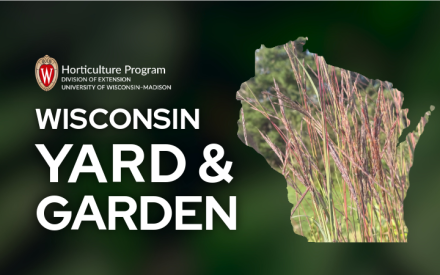 Bluestems Enhance Fall Landscape