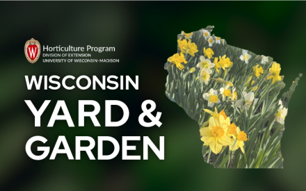 Plan for Spring Flower Shows Now