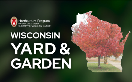 October Lawn Care Practices