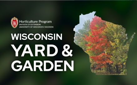 Mid Fall Gardening To-Do List